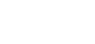 vivo.webp